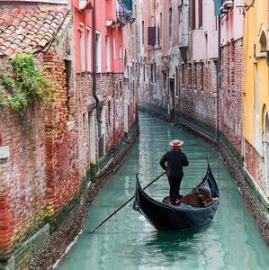 Meet your Posher, Susan